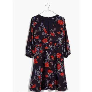 Madewell silk ruffle waist dress in Windblown Poppies  00